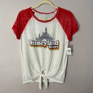 Disneyland Retro Crop Top